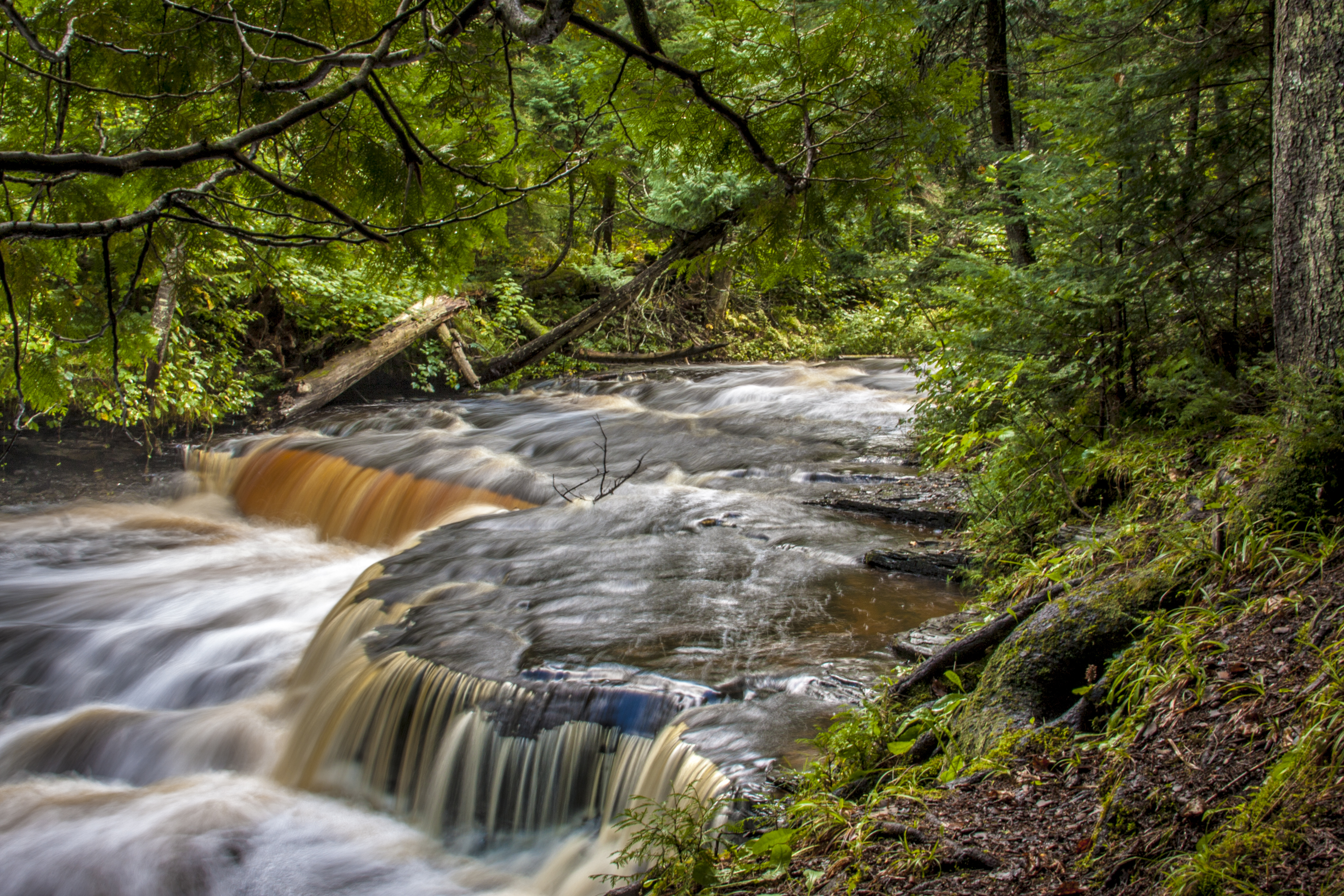 Haymeadow Falls