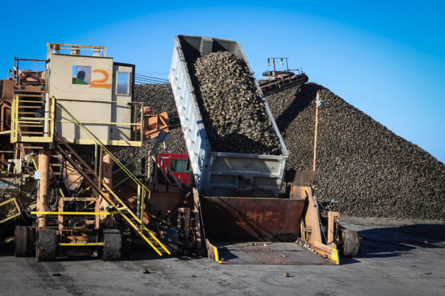 The Sugar Beet Harvest from a Workamper's POV - Gone Workamping