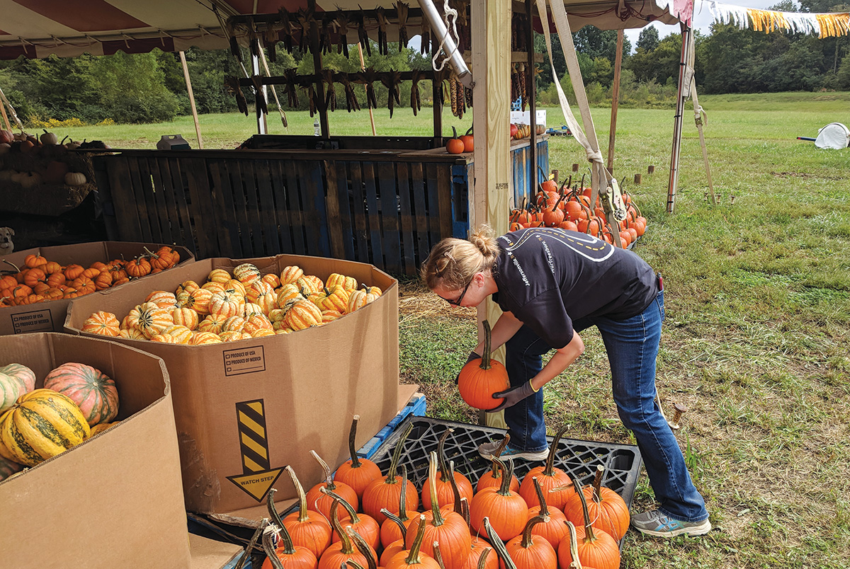 Workampers organizing pumpkin sales lot