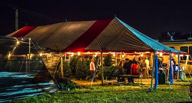 Hart-T-Trees Christmas tree sales tent in Davie, Florida